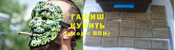 сатива Алзамай