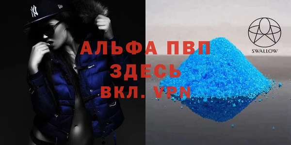 сатива Алзамай