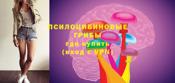 spice Алексин