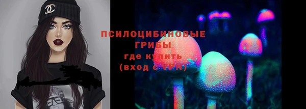 ГАЛЛЮЦИНОГЕННЫЕ ГРИБЫ Алексеевка