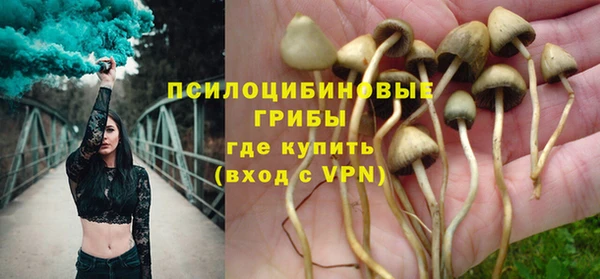 сатива Алзамай