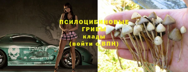 сатива Алзамай